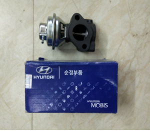 Van EGR Hyundai Grand Starex