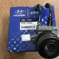 Bi T Hyundai Santafe